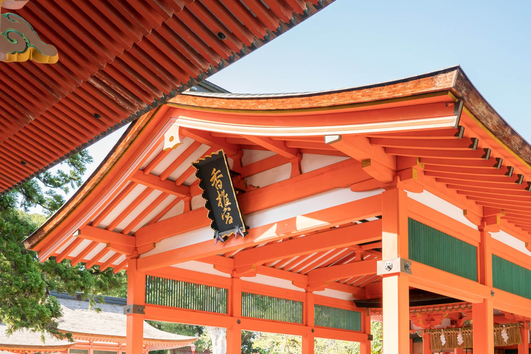 福岡市東区の戸建て売買専門 東区こだて本舗